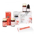 Fuji Plus - GC Fuji Plus - GC