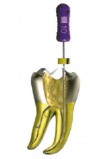 Wave One Gold - Dentsply Maillefer