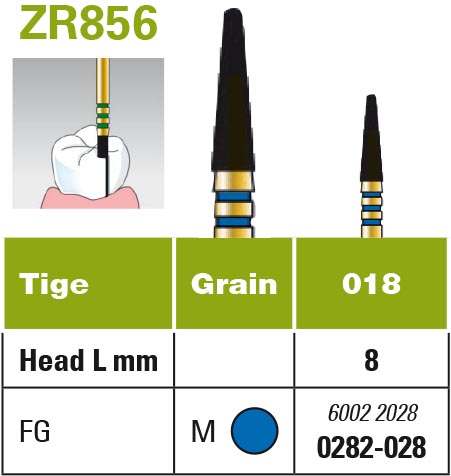 Diatech Z-Rex - coltène