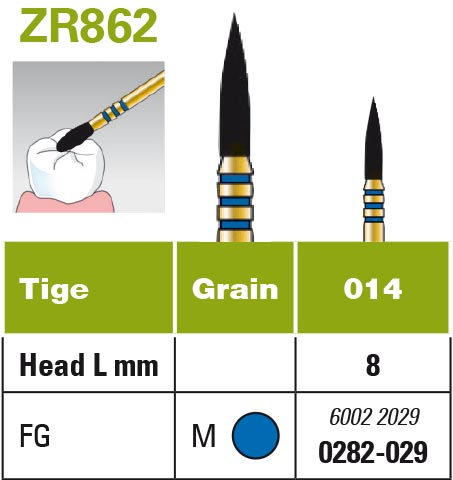 Diatech Z-Rex - coltène