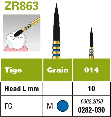 Diatech Z-Rex - coltène
